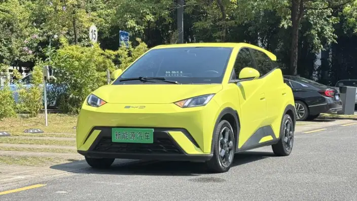 BYD Seagull 2023 Model Feixiang Edition