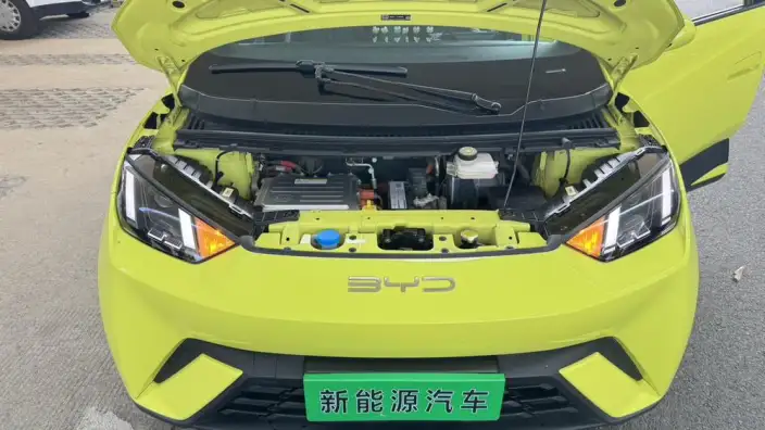 BYD Seagull 2023 Model Feixiang Edition – фото 9