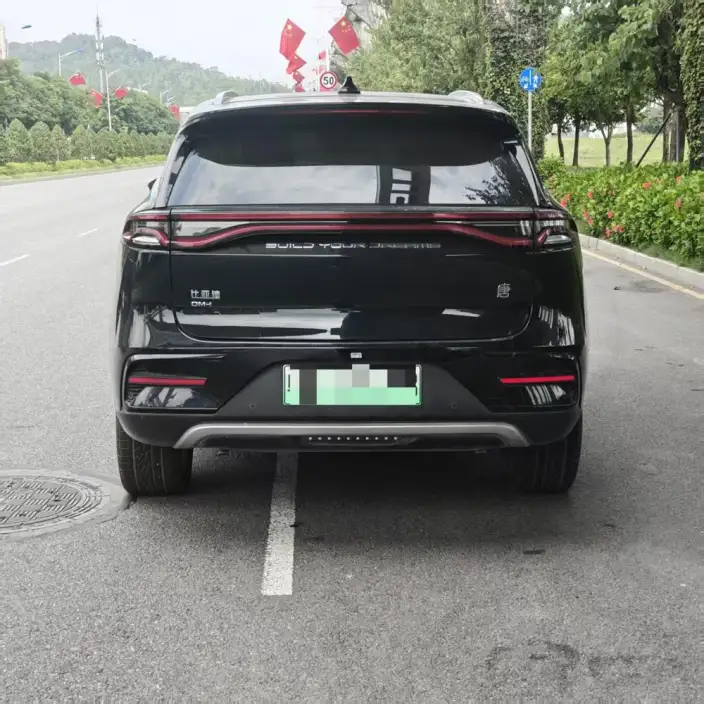 BYD Tang DM 2023 Model DM-i Champion Edition 112KM Exclusive Model – фото 5