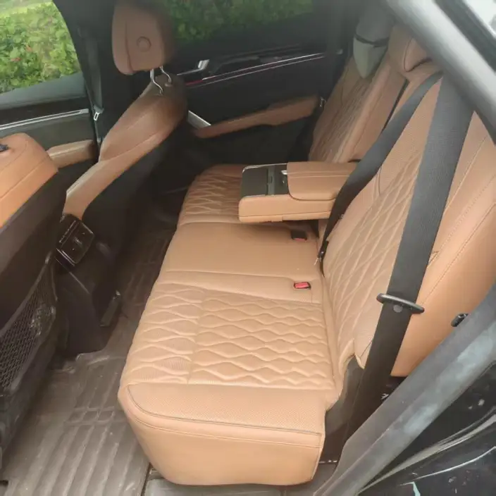 BYD Tang DM 2023 Model DM-i Champion Edition 112KM Exclusive Model – фото 9