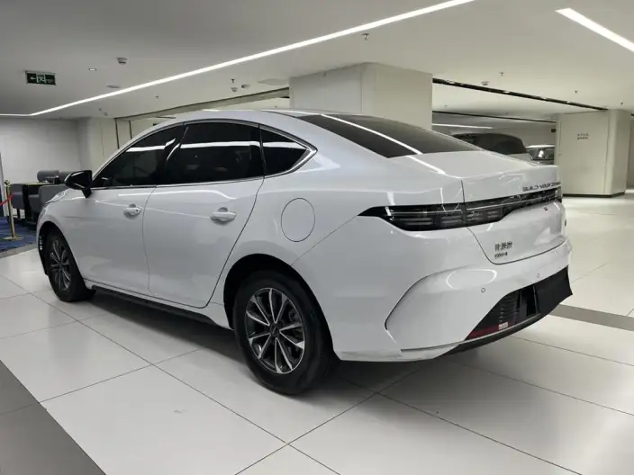 BYD Destroyer 05 2024 Model Honor Edition DM-i 55KM Luxury Model – фото 5