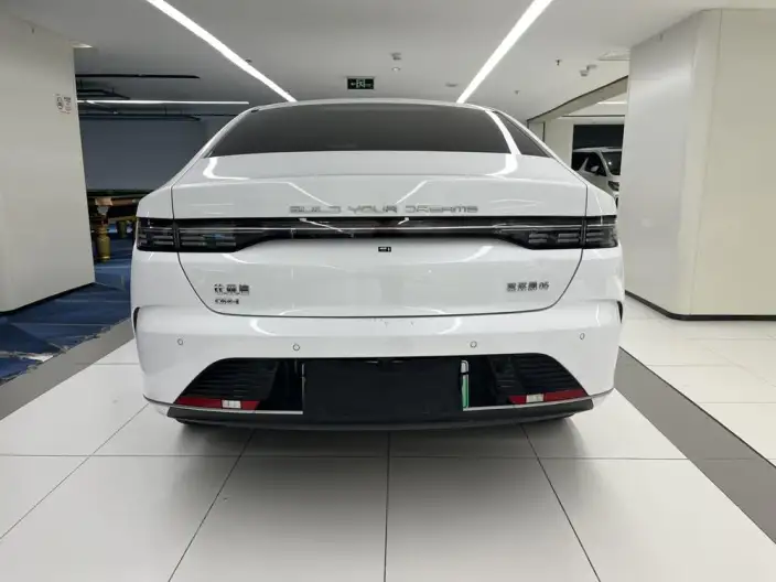 BYD Destroyer 05 2024 Model Honor Edition DM-i 55KM Luxury Model – фото 6