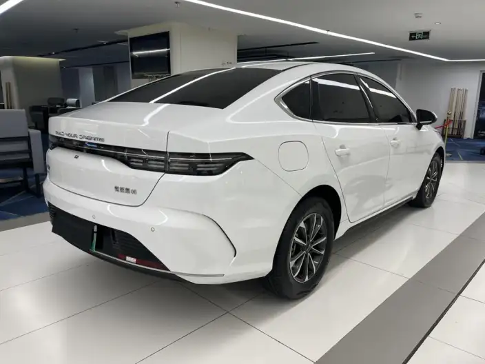 BYD Destroyer 05 2024 Model Honor Edition DM-i 55KM Luxury Model – фото 7