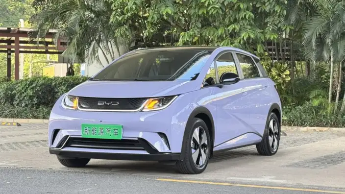 BYD Dolphin 2023 Model Fashion Edition
