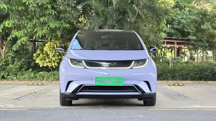 BYD Dolphin 2023 Model Fashion Edition