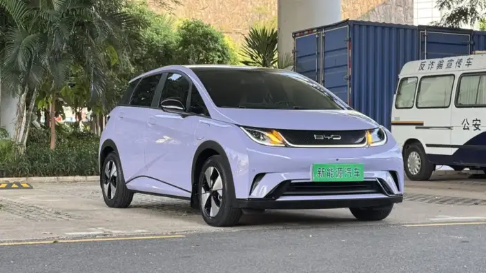 BYD Dolphin 2023 Model Fashion Edition