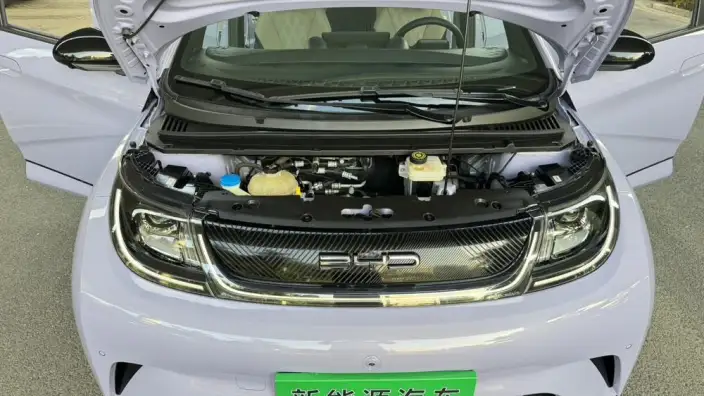 BYD Dolphin 2023 Model Fashion Edition – фото 9