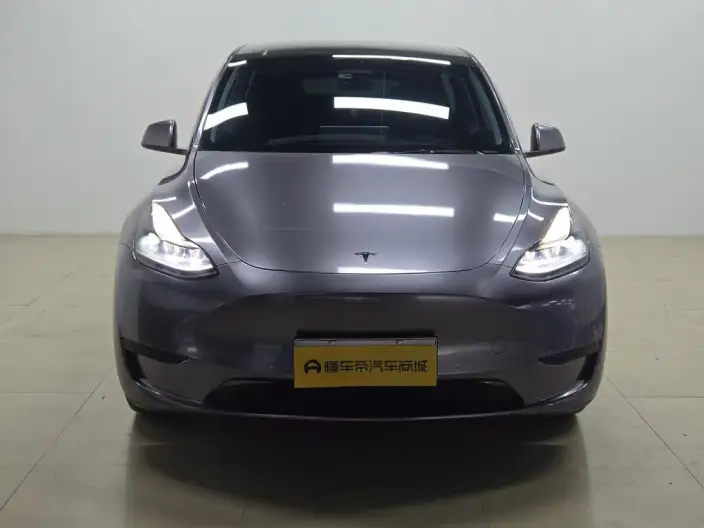 Model Y 2022 Model Rear-wheel drive version – фото 2