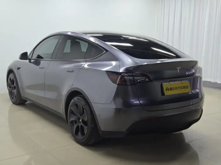 Model Y 2022 Model Rear-wheel drive version – фото 5