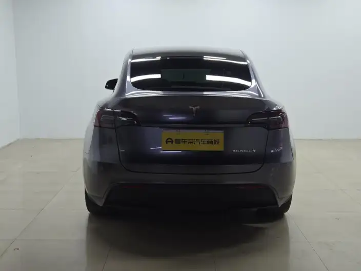 Model Y 2022 Model Rear-wheel drive version – фото 6