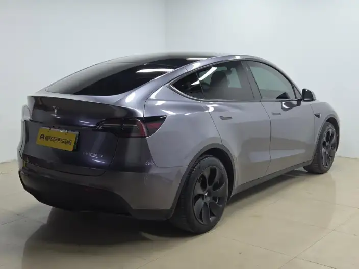 Model Y 2022 Model Rear-wheel drive version – фото 7
