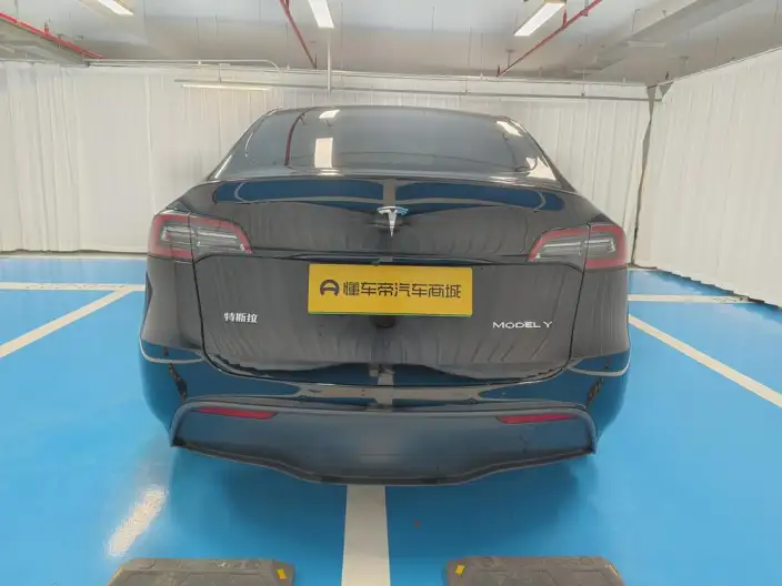 Model Y 2022 Model Rear-wheel drive version – фото 6