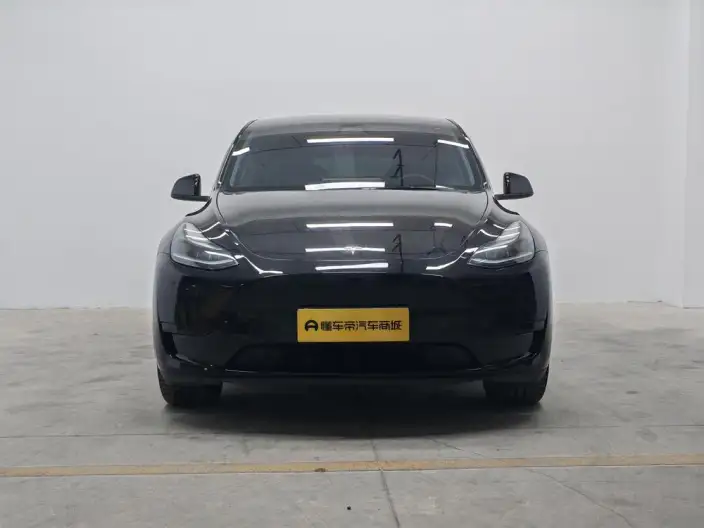 Model Y 2022 Model Rear-wheel drive version – фото 2