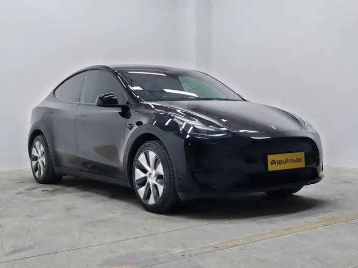 Model Y 2022 Model Rear-wheel drive version – фото 3