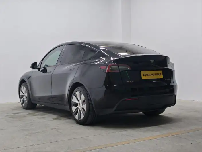 Model Y 2022 Model Rear-wheel drive version – фото 5