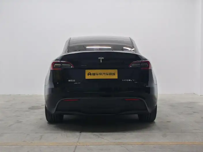 Model Y 2022 Model Rear-wheel drive version – фото 6
