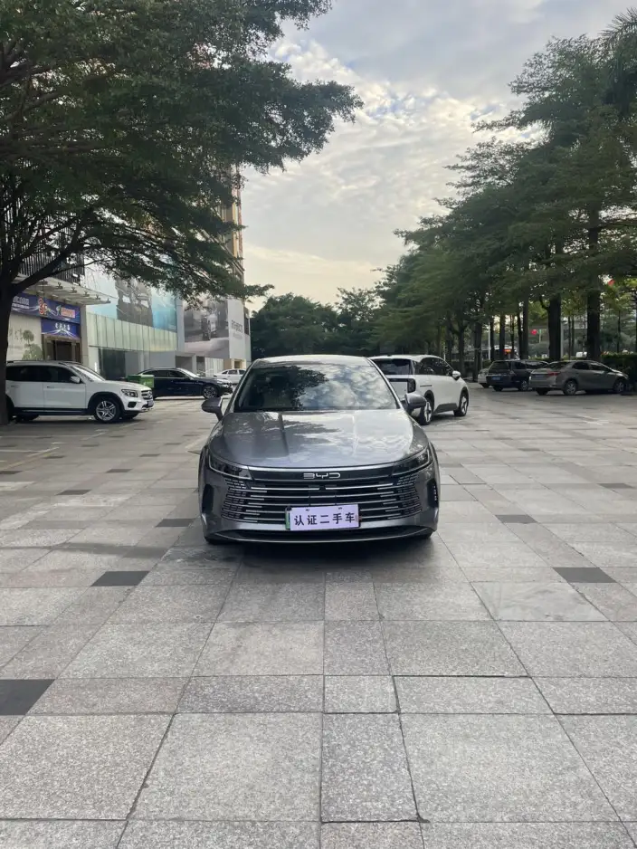 BYD Qin PLUS DM 2024 Model Honor Edition DM-i 55KM Leading Model