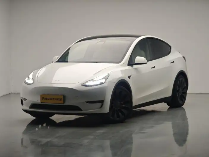 Model Y 2022 Model Performance High performance All-wheel drive version – фото 1