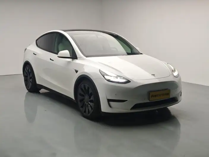 Model Y 2022 Model Performance High performance All-wheel drive version – фото 3