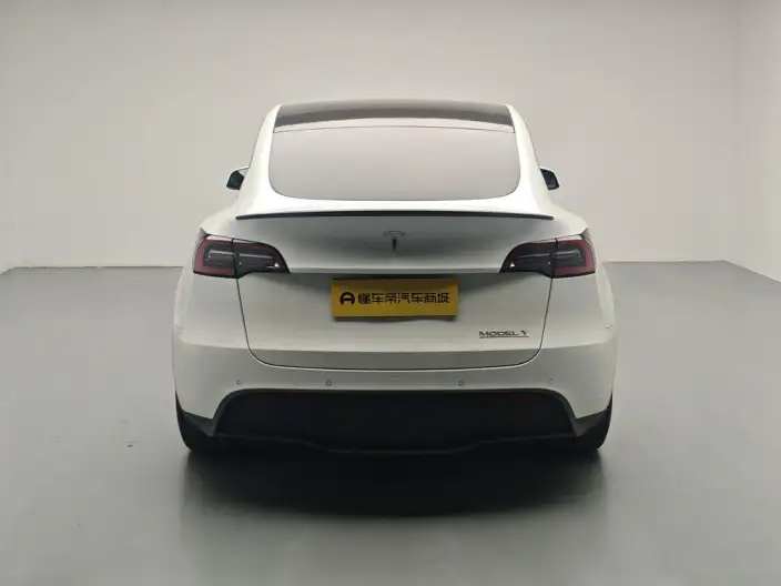 Model Y 2022 Model Performance High performance All-wheel drive version – фото 6