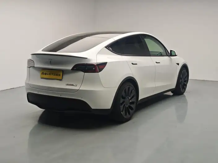 Model Y 2022 Model Performance High performance All-wheel drive version – фото 7