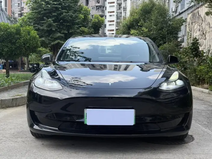 Model 3 2022 Model Rear-wheel drive version – фото 2