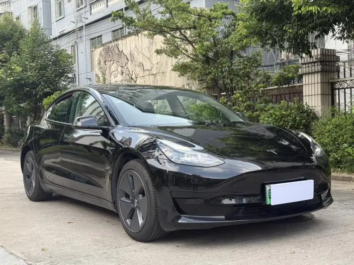 Model 3 2022 Model Rear-wheel drive version – фото 3