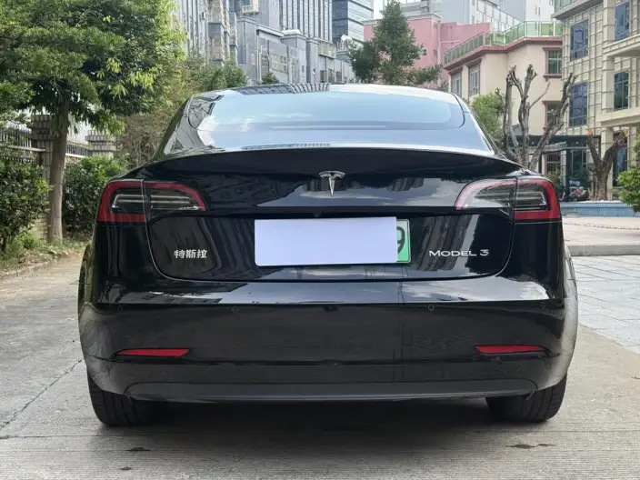 Model 3 2022 Model Rear-wheel drive version – фото 5