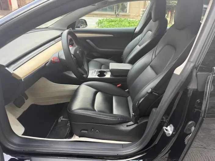 Model 3 2022 Model Rear-wheel drive version – фото 8