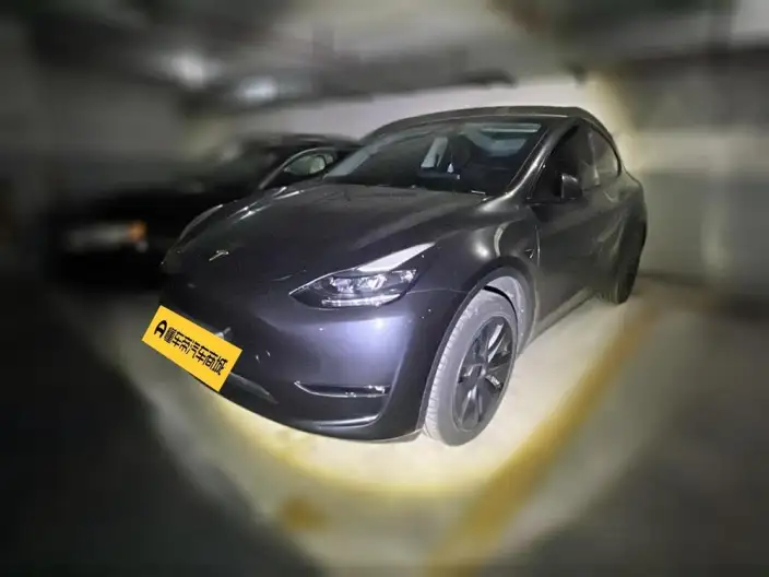 Model Y 2024 Model Long Battery Life Pro All-wheel drive version – фото 1