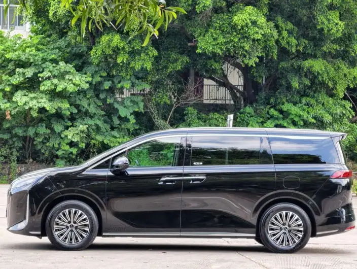 BYD M9 2025 Model 1060 Pilot Edition