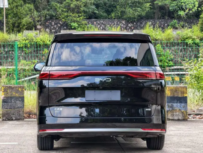 BYD M9 2025 Model 1060 Pilot Edition – фото 6