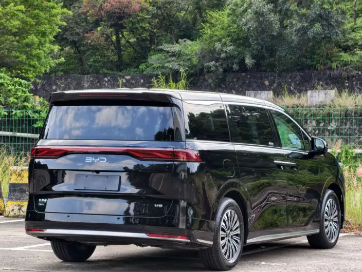 BYD M9 2025 Model 1060 Pilot Edition – фото 7