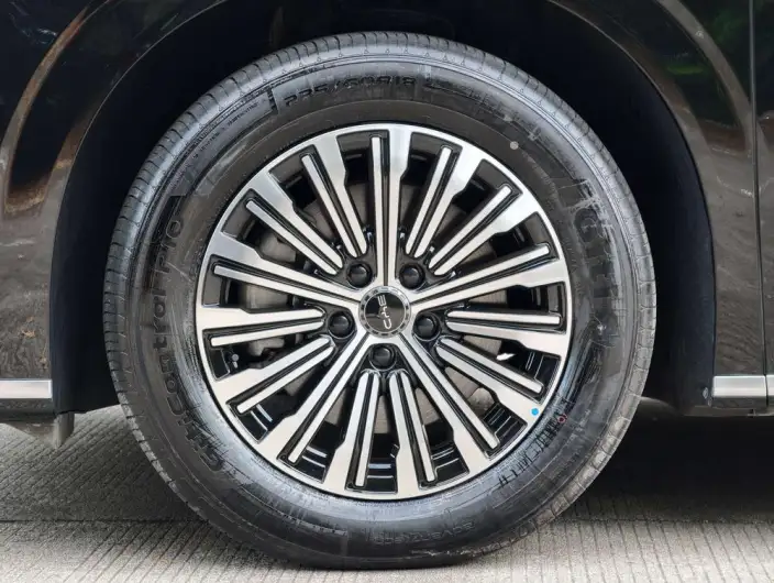 BYD M9 2025 Model 1060 Pilot Edition – фото 10