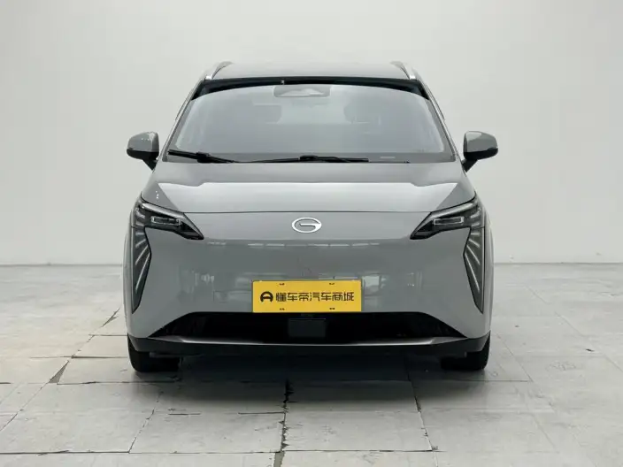 AION Y 2023 Model Plus 610 Lexiang Edition Ternary lithium – фото 2