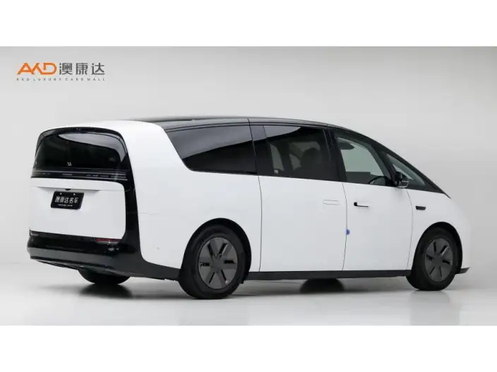 Li Auto MEGA 2025 Model Home Family Special Edition