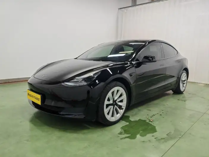 Model 3 2022 Model Rear-wheel drive version – фото 1