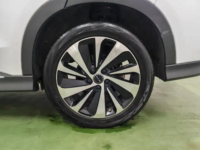 BYD Song PLUS DM 2024 Model DM-i Honor Edition 110KM Flagship Model – фото 9