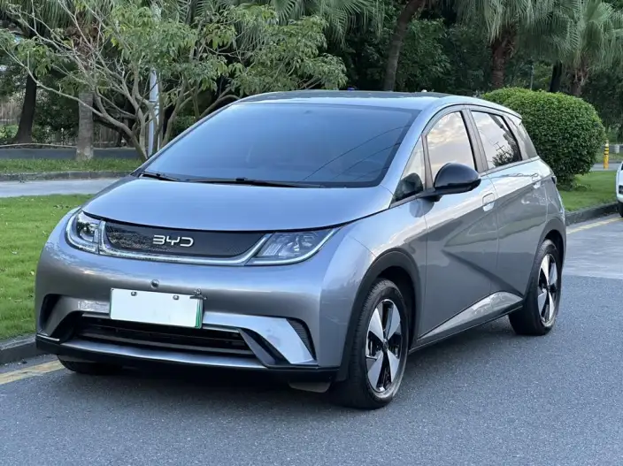 BYD Dolphin 2023 Model Free Edition