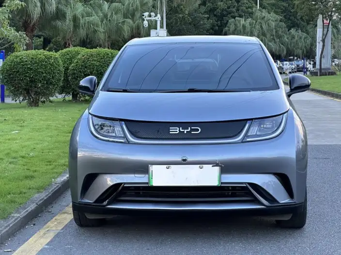 BYD Dolphin 2023 Model Free Edition