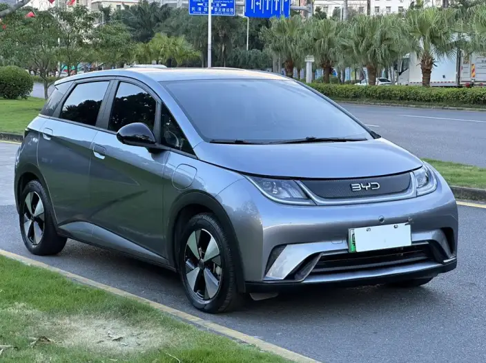 BYD Dolphin 2023 Model Free Edition