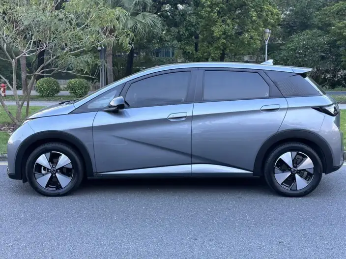 BYD Dolphin 2023 Model Free Edition