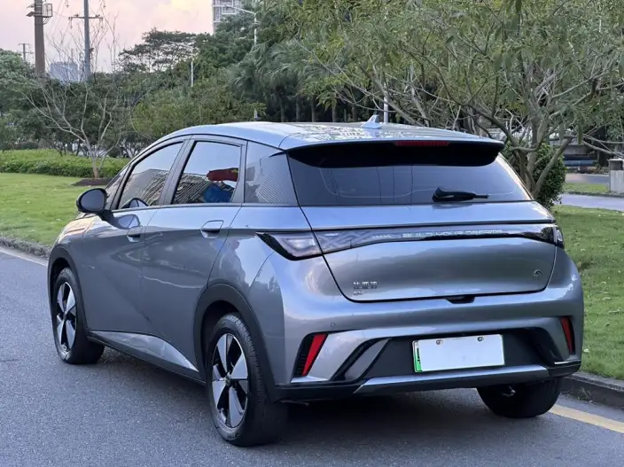 BYD Dolphin 2023 Model Free Edition – фото 5