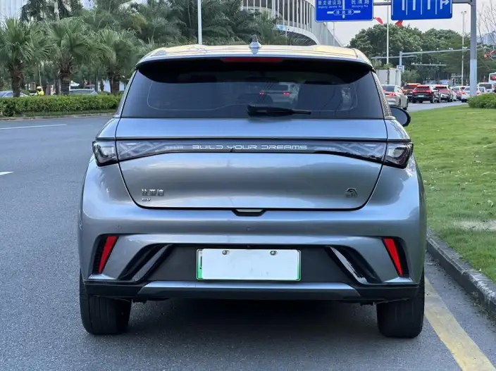 BYD Dolphin 2023 Model Free Edition – фото 6