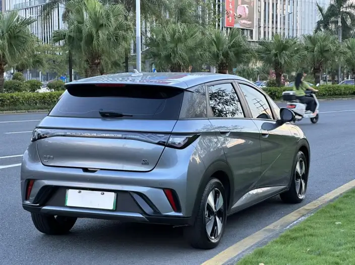 BYD Dolphin 2023 Model Free Edition – фото 7