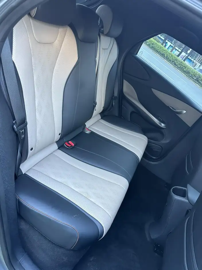 BYD Dolphin 2023 Model Free Edition – фото 8