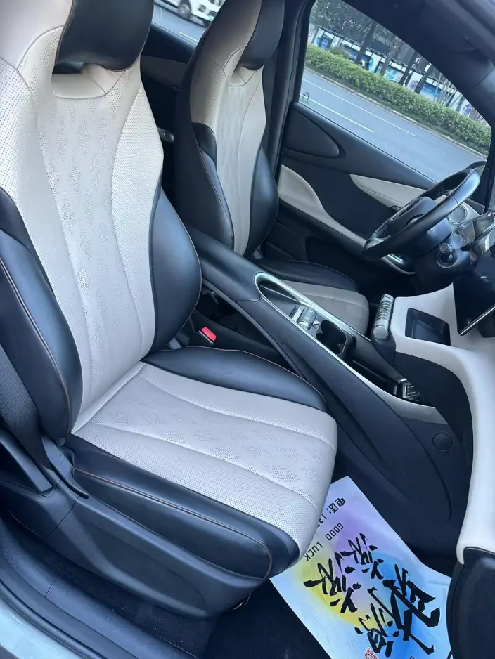 BYD Dolphin 2023 Model Free Edition – фото 9
