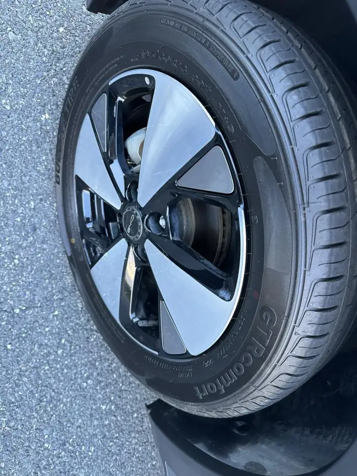BYD Dolphin 2023 Model Free Edition – фото 10