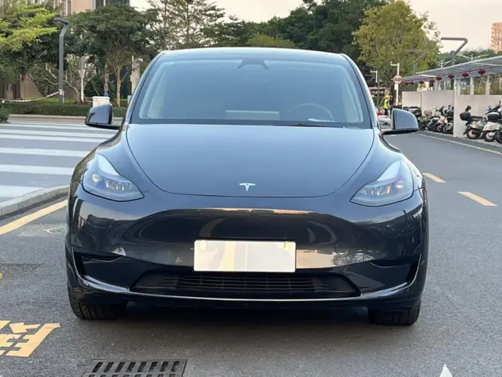 Model Y 2024 Model Rear-wheel drive version – фото 2