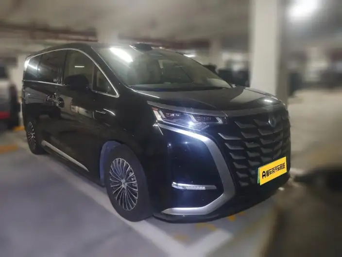 DENZA D9 DM 2025 Model Smart Driving Edition 1020 4WD Flagship Model – фото 3